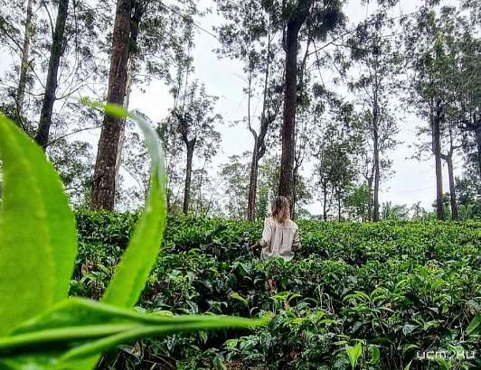 Орловцы предпочли для отдыха в майские праздники страны Азии и Африки Орловцы предпочли для отдыха в майские праздники страны Азии и Африки