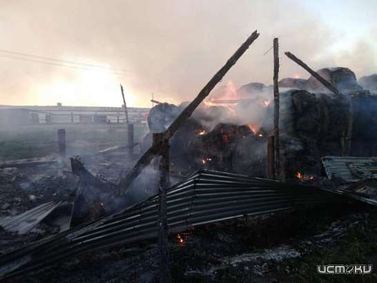 На Орловщине сгорел склад с сеном площадью почти 500 кв. м