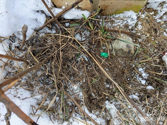 В Орле задержан молодой человек, подозреваемый в распространении наркотиков