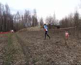 Золотые звёзды