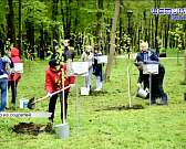 В Орле при ремонте ул. Бурова спилили здоровые деревья, в регионе нашли нарколабораторию, археологи передали находки в музей, а мы подвели итоги конку...