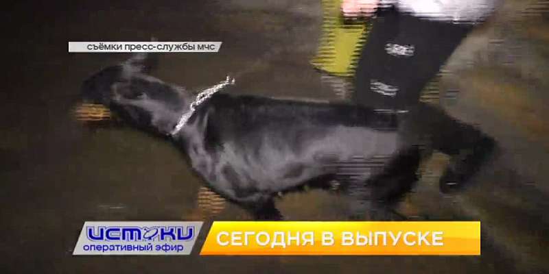 В 19:00 вы увидите свежий выпуск программы «Оперативный эфир» на нашем канале