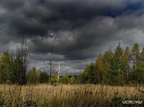 Погода в Орле значительно портится 