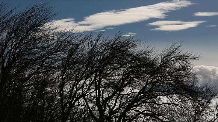 Хмуро и пронизывающий ветер: погода в Орле на 17 февраля