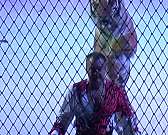 В Орел прибыл цирк легендарной династии Запашных.