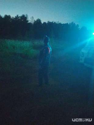 Орловских грибников нашли в лесу недалеко от Калужской области