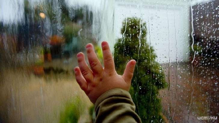 Воскресенье в Орле будет дождливым, но теплым