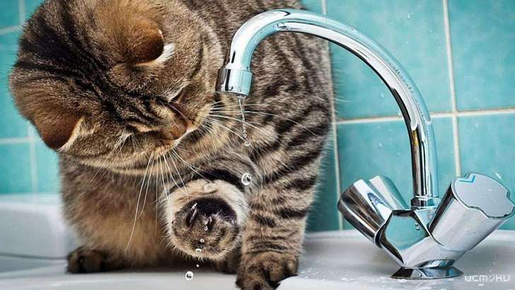 В мае орловчан не оставят без воды