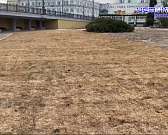 Прокуратура проследит за обеспечением жизненно важным препаратом онкобольной орловчанки, о которой рассказала Ксения Собчак, на ул. Орловских партизан...