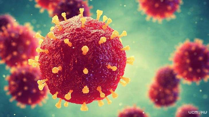 Осторожно: фейк! Орловский оперштаб опроверг сообщения о новогоднем локдауне