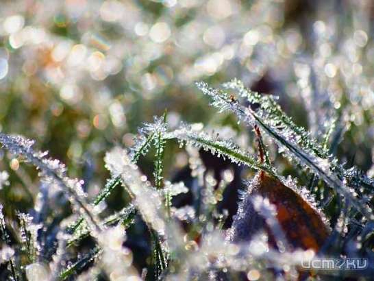 На территории Орловской области ожидаются заморозки на поверхности почвы 