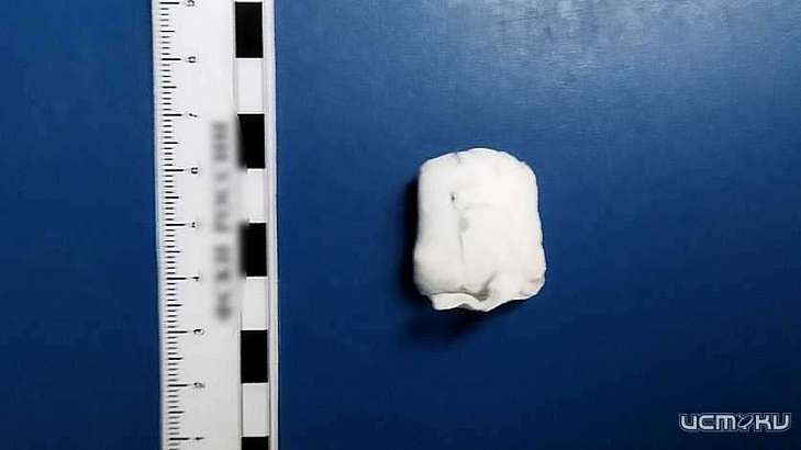 В Орле задержали местного жителя с крупной партией синтетического наркотика В Орле задержали местного жителя с крупной партией синтетического наркотика