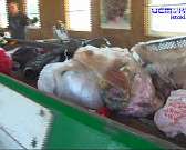 Провал «мусорной» реформы: что произойдет в Орловской области, если «Экоград» перестанет работать