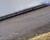 Почему жители региона задумались о покупке дельтапланов? Эта тема и не только была затронута в стриме главы региона накануне