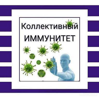 Орловчанам доступно приложение «Коллективный иммунитет», где можно делиться опытом о прохождении вакцинации от ковида
