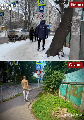 На улице Осипенко в Орле спилили деревья