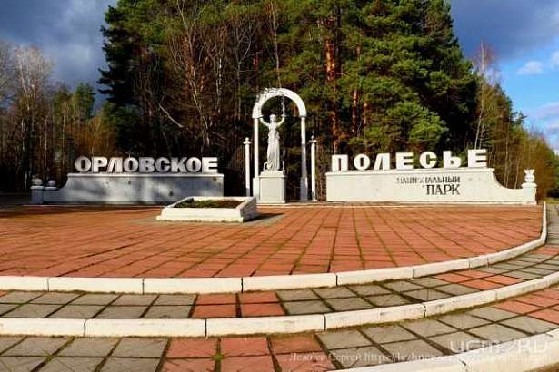 Орловское полесье приглашает на выставку «Здесь Родины моей начало…»