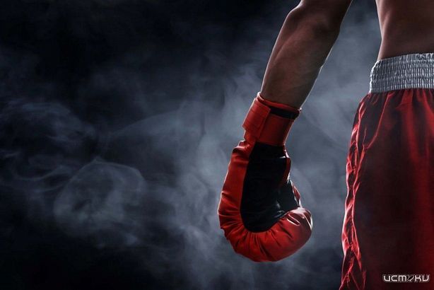 Не посрамили честь Орловщины на ринге  Не посрамили честь Орловщины на ринге