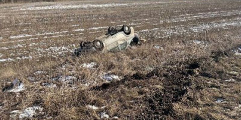 Под Орлом водитель «Рено» опрокинулся в кювет Под Орлом водитель «Рено» опрокинулся в кювет