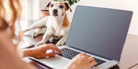 Домашний гигабитный интернет МТС стал доступен жителям «Зеленого квартала»