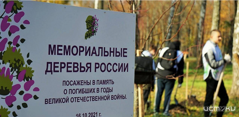 В Орле в честь Дня отца высадили 40 лип