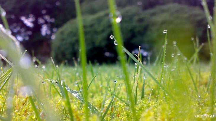 Дыхание осени: сегодня в Орле будет дождливо и прохладно