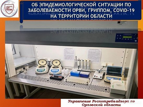 В Орловской области сохраняется высокий уровень заболеваемости ОРВИ: Роспотребнадзор предупреждает о возможном росте числа случаев