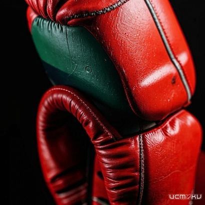 20 декабря будет дан старт чемпионату и первенству Орловской области по боксу