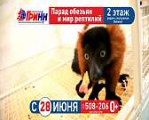 Орловчан приглашают на выставку экзотических животных