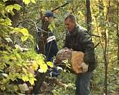 Последний рывок перед зимой. Накануне орловчане вновь вышли на масштабный субботник