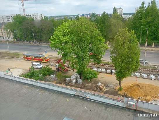 «Орёл скоро превратится в пустыню»