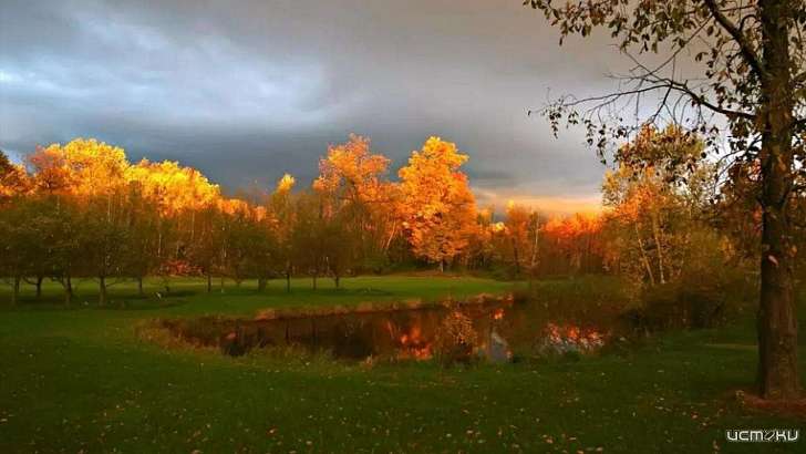 Хмурое небо и +9 °C ждут орловчан в четверг