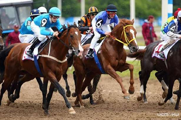 Участников скачек на Орловщине ждут 50 тысяч рублей