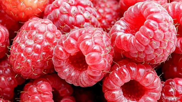 Вслед за «розовой» зимой россиянам пообещали «малиновое» лето