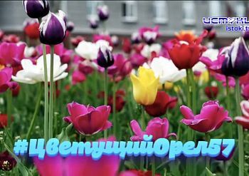 Редакция "ИСТОКОВ" определила нового народного корреспондента