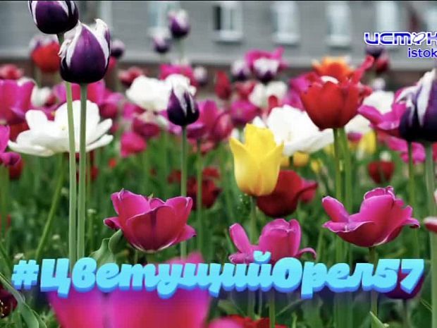 Редакция "ИСТОКОВ" определила нового народного корреспондента
