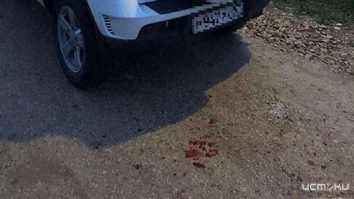 Под Орлом изувечивший собаку экс-директор интерната отделался штрафом