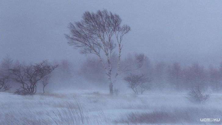 Объявлено штормовое предупреждение