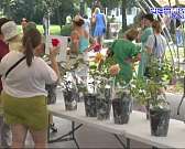 Комбайн в цветах, красочные инсталляции и выставка живых цветов. Во второй раз в Орле организовали цветочный фестиваль "Стрелка"