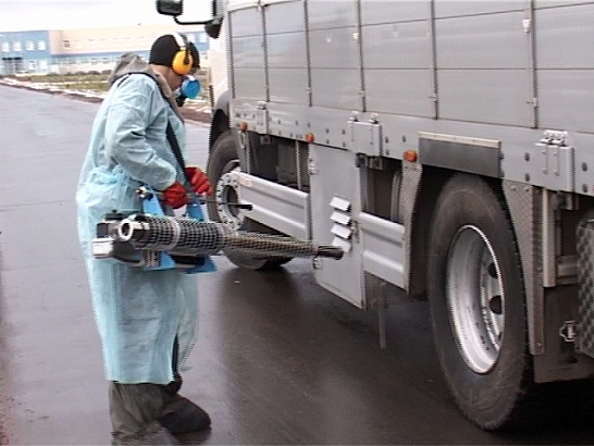 Новости за 90 секунд: иностранцы будут сдавать обязательный экзамен по русскому языку, в Ливнах обнаружено заморское ядовитое насекомое, а сотрудники МЧС поработали в тандеме с судебными приставами