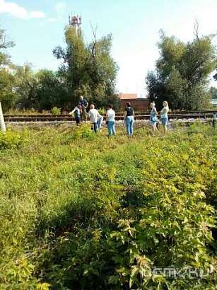 В Орле мужчина угодил под колеса поезда