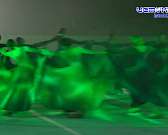 8 сборных коллективов из Орловской и соседних областей собрал межрегиональный турнир Сбера по хоккею с шайбой