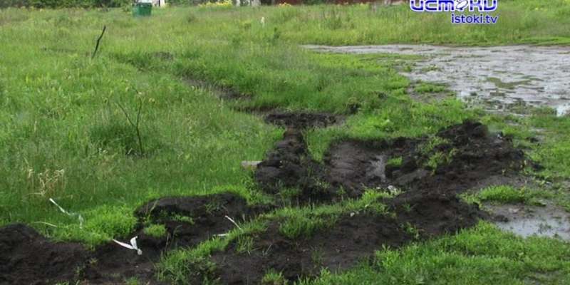 В Лужках ополчились на кандидата в депутаты: причина конфликта — уничтоженный «Сад памяти»