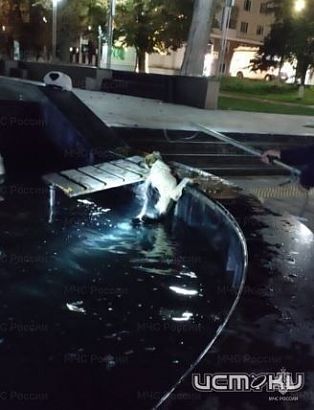 Спасение собаки из фонтана и женщины из оврага  Спасение собаки из фонтана и женщины из оврага