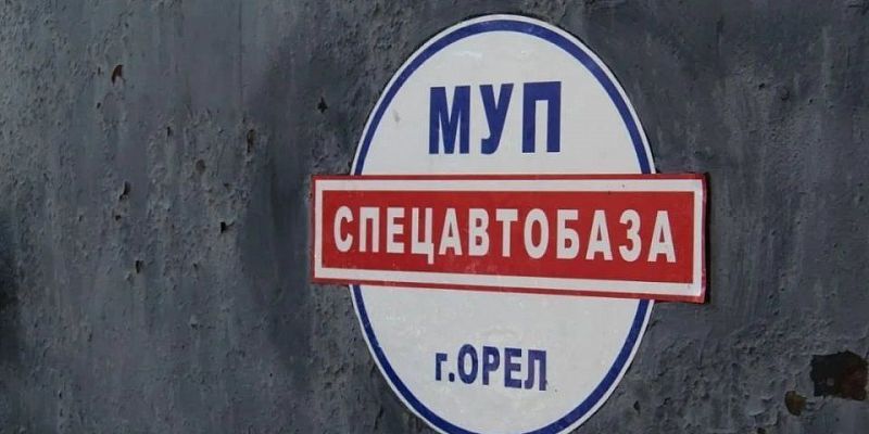 Спецавтобаза Мать покусанной собаками девочки в Орле получит компенсацию от "Спецавтобазы"