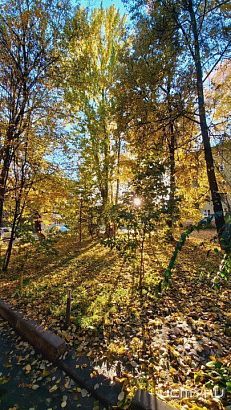 Известно имя нового народного корреспондента «Истоков»