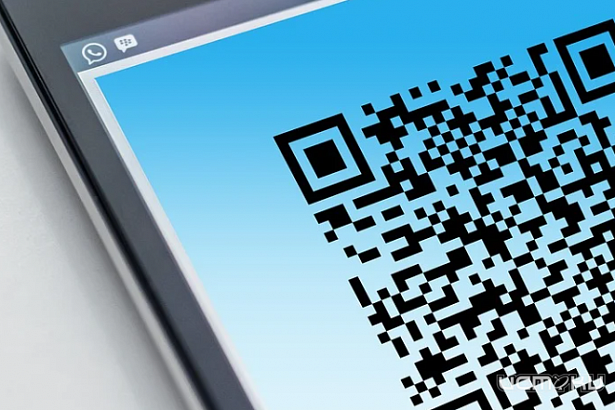 Орловчане с антителами получат QR-коды