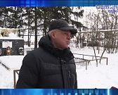 Губернатор предсказывает, когда начнется весна. Экспресс - новости.