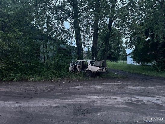 Под Орлом пьяный водитель протаранил дерево. Есть пострадавшие Под Орлом пьяный водитель протаранил дерево. Есть пострадавшие