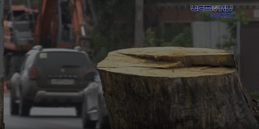 Сегодня на улице Тургенева временно ограничат движение из-за опиловки деревьев